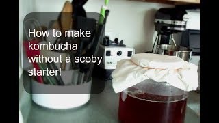 How to make kombucha without a scoby [upl. by Nomaj171]