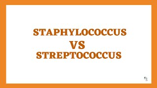 Staphylococcus VS Streptococcus 5 Major Differences to Memorize 💡 [upl. by Gargan]