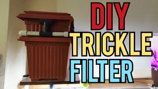 DIY overhead Filter  Trickle filter [upl. by Ailb]