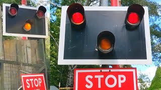 Miniature Trains at Trago Mills Level Crossing Devon Compilation [upl. by Nycila592]