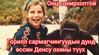 Денсу охины гайхамшигт түүх mongol heleer kino hoshin shog duu 2024 монгол хэлээр кино дуу баримтат [upl. by Ara331]