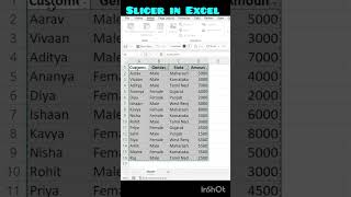 slicersinexcel excel excel slicers [upl. by Meer]