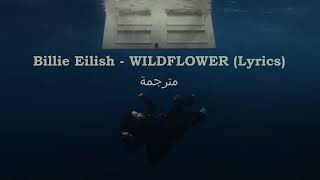 Billie Eilish  WILDFLOWER Lyrics مترجمة [upl. by Marlena637]