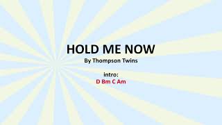 Hold Me Now by Thompson Twins  Easy acoustic chords and lyrics [upl. by O'Shee]