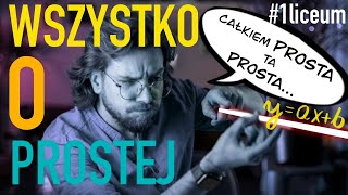 WSZYSTKO o FUNKCJA LINIOWA i równanie PROSTEJ❗️MATURA 2023 MATEMATYKA PODSTAWA i ROZSZERZENIE [upl. by Leamiba]