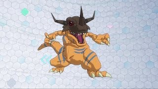 Agumon Digivolve To Greymon Tri [upl. by Hallagan]