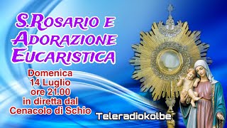 SRosario e Adorazione Eucaristica in diretta dal Cenacolo ore 2100 14072024 [upl. by Maren519]