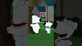 Brian Was Thrown Out Onto The Street familyguy funny shorts [upl. by Trumann978]