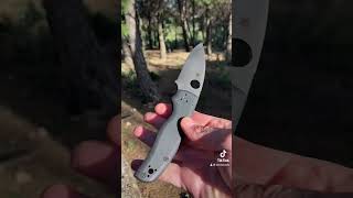 Spyderco Shaman CPMS30V all black edc dz knife edccommunity edcknife everydaycarry couteau [upl. by Luht619]