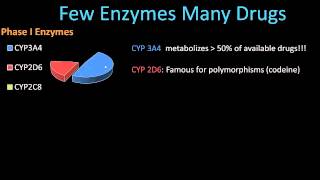 Phase II Metabolism  Pharmacology Lect 8 [upl. by Yelnet712]