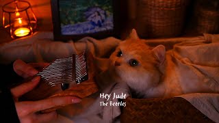 Hey Jude The Beatles  Kalimba cover [upl. by Asiaj]