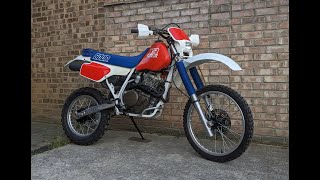 1987 Honda XR600R  Cold start amp Ride [upl. by Livvi574]