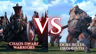 WARHAMMER III Total War  Chaos Dwarf Warriors VS Ogre Bulls Ironfists [upl. by Pisarik305]