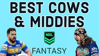 43 NRL Fantasy Players To Target In 2024 [upl. by Nikita]