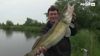 Globe fishing sur lEtang du Romelaëre [upl. by Cheston]