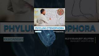 biology phylumctenophora phylum neet teaching motivation kkacademy shorts class11 [upl. by Hope140]