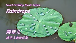 雨珠儿 Raindrops 《Heart Purifying Music Series 147》 [upl. by Eidorb]