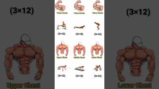 chest amp arms workout at home exercise trendingshorts viral continuebackflip [upl. by Helbona801]