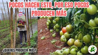 Todos deberían conocer esta técnica para tener un CULTIVO EXCELENTE Fácil [upl. by Aziul]