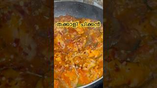 തക്കാളി ചിക്കൻTOMATO CHICKENfull recipe video in my channel cookingfoodshorts shortfeedshort [upl. by Ingaborg878]