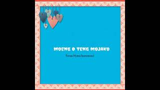 Moeng O Teng Mojako Mmulele  Instrumental SDA Hymn and Lyrics There’s a Stranger at the Door [upl. by Jelsma874]