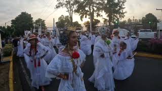 Paseo de la Pollera Blanca versión 2024 David Chiriquí PANAMA [upl. by Anerac74]