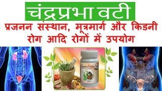 Chandraprabha Vati benefits ingredients dosage uses  चंद्रप्रभा वटी के फायदे [upl. by Madelle]