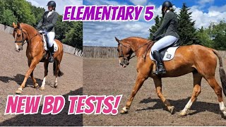 Elementary 5  New British Dressage Tests [upl. by Stirling]