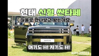 현대 신형 디 올 뉴 싼타페 공개 실물로 살펴봤습니다 2024 Hyundai The all new Santa fe Preview [upl. by Noelyn485]