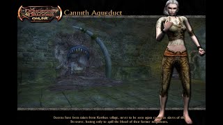 Sacrifices Dungeons and Dragons Online Full Walkthrough [upl. by Alieka]