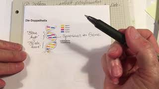 cyto2 Chromosomensatz [upl. by Mungovan]