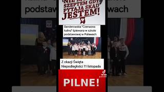 Puławy polska dlaciebie 60 viralshort dc shorts [upl. by Trixy92]