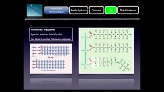 Basiskurs BiochemieChemie Fett Teil 910 [upl. by Nyla]