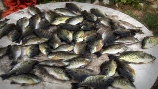 Fishing Fall Slab Gills and Crappies [upl. by Mani]