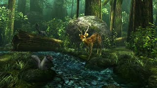 Forest HD Live Wallpaper By DualBoot Games [upl. by Boar]