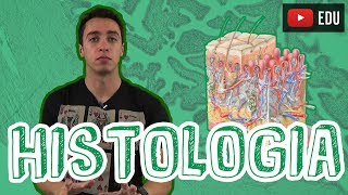 Biologia  Histologia  Visão Geral para o Enem e Vestibulares [upl. by Bertila236]