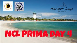 HARVEST CAYE DAY 4 PRIMA [upl. by Halsy]