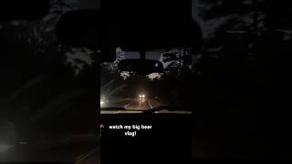 Part of my Bug bear Vlog Watch now fun bigbearchannel jbear duet teen youtubeshorts [upl. by Anaidiriv]