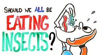 Should We All Be Eating Insects [upl. by Gawlas215]