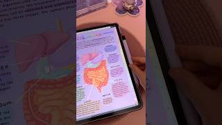 Take digital notes with me 😍 aesthetic study notes  iPad note taking  apple pencil tips [upl. by Deaner]