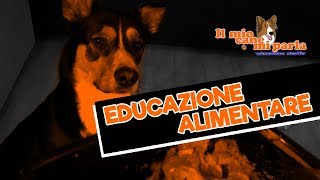 Educazione alimentare [upl. by Jermaine]