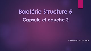 Bactérie Structure 5 CAPSULE et COUCHE S bactériennes sans musique de fond [upl. by Aseram445]