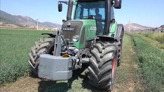 Sıkmalı Yonca Biçimi  Fendt 415 Vario [upl. by Scherle]