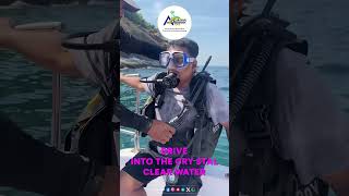 Andaman Islands Explore  Best Tour Agency In Andaman  Andaman Tour  Andaman Travel [upl. by Enutrof678]