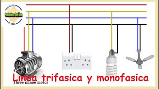 ⚠️Linea trifasica y monofasica en viviendas✅RESPONDO dudas de suscriptores [upl. by Hannaj]