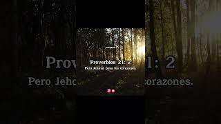 proverbios  Todo camino del hombre es recto en su propia opinión Pero Jehová pesa los corazones [upl. by Ferdinand]