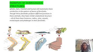 analogous and homologous structure [upl. by Llemhar228]