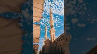 Mustafa Mustafa Naat shorts naat [upl. by Alikat]