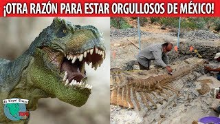 Los Dinosaurios de México la otra riqueza histórica que pocos conocen [upl. by Wolfy808]