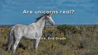 Are unicorns real [upl. by Slayton271]